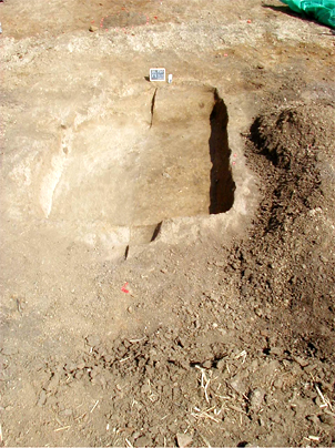 'keyhole' cellar post-excavation at 11L730