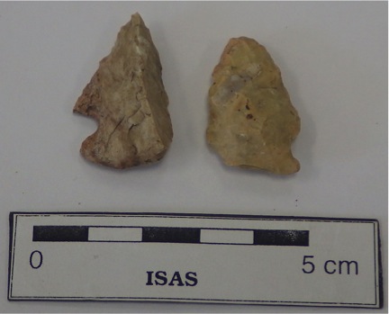 Early Archaic Thebes Point (left) and Middle Archaic Raddatz Point (right) recovered from 11WI662