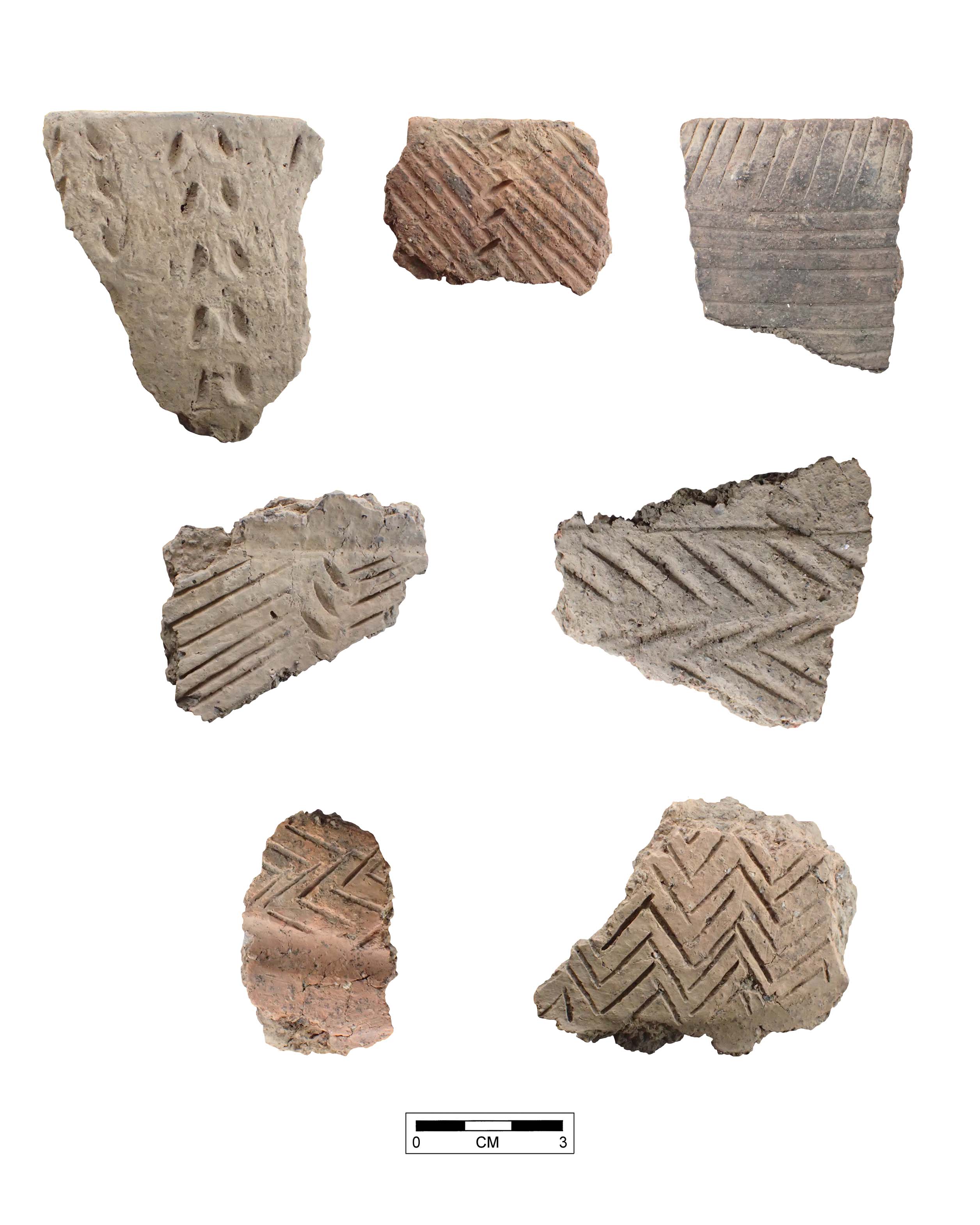 Middle Woodland Sherds (Henderson Co)