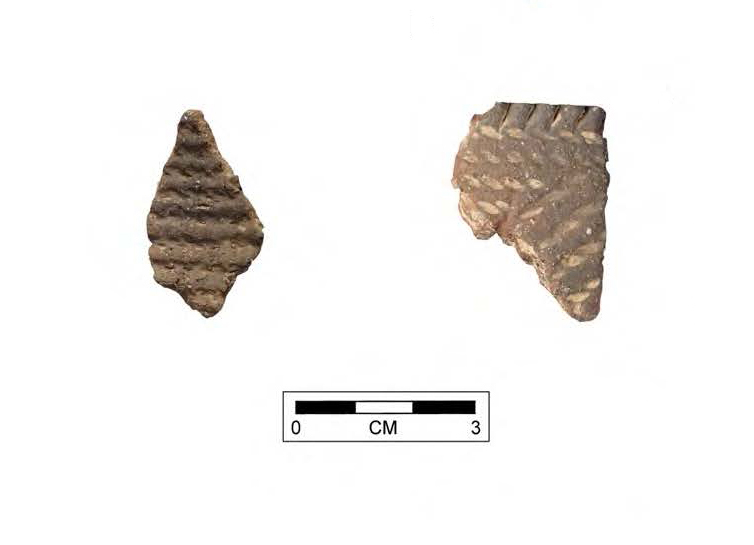 Cord-Impressed Sherds from the Van Fleet Site