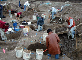 Excavations at 11MC71